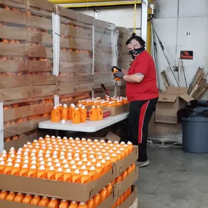 Bottle Assembly